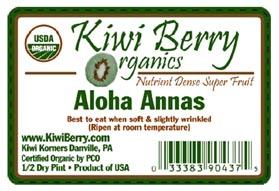 Organic Kiwi Fruit, 1 lb Package - Water Butlers